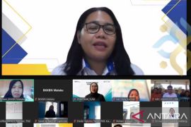 Kolaborasi BKKBN Maluku-PNM intensifkan bantuan usaha bagi kelompok UPPKA