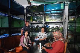 DKI Jakarta perkuat pengawasan  jual-beli ikan predator di Jakarta