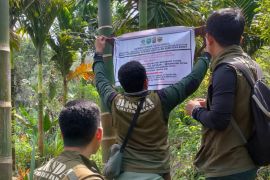 BKSDA segel 3,5 hektare lahan di kawasan hutan SM Malampah