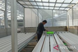 Distan Banten akui program MBG dorong minat petani muda