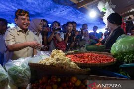 Pj Gubernur Sultra sidak harga kebutuhan pokok di pasar jelang Ramadhan