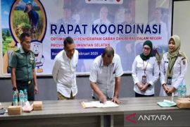 Serapan gabah petani di Kalsel ditargetkan 6.350 ton