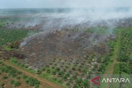 Luas lahan terbakar di Aceh Barat sudah mencapai 7,5 Ha, pemadaman masih dilakukan