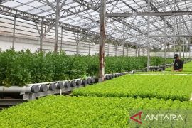 30 desa di Serang Banten rentan rawan pangan