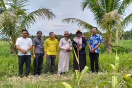 Dukung ketahanan pangan, Pemkab Tapsel alokasikan Rp22,3 miliar untuk infrastruktur pertanian