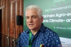 Peneliti antisipasi pengaruh agroforestri sawit bagi petani kecil