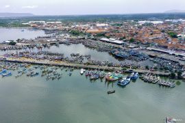 Minapolitan Pelabuhan Muncar