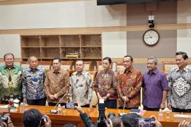 Pemerintah teliti lebih lanjut agar tidak ada PHK tenaga honorer