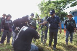 DLH Makassar gelar aksi penanaman pohon peringati HPSN 2025