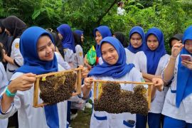 Objek wisata Dewi Satu Simalungun, bermula dari madu dan kopi