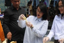 "Heboh Buah" strategi Dinas Pertanian Kulon Progo gali potensi buah lokal