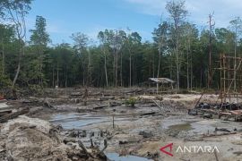 Polres Bangka Barat hentikan tambang liar di Sungai Belolaut