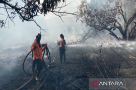 BPBD: Waspada karhutla saat kemarau Agustus-September