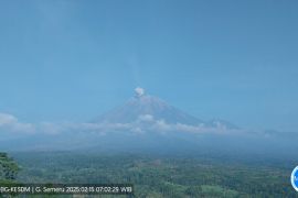 BPBD Lumajang minta warga di lereng Gunung Semeru waspadai hujan abu