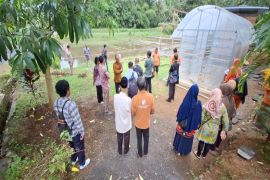 Kampoeng Kakao Menoreh, digadang dongkrak ekonomi Kulon Progo