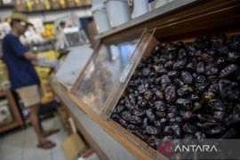 Volume impor kurma Indonesia jelang Ramadhan