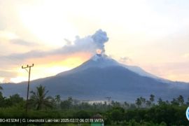 Gunung Lewotobi Laki-laki NTT lontarkan abu setinggi 900 meter