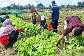 Farm Estate Tanjungular dukung ketahanan pangan