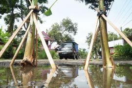 Jalan rusak ditanami pohon pisang di Trenggalek