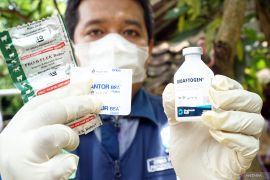 Vaksinasi PMK di Trenggalek