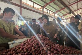 Pemkot sebut harga kebutuhan pokok Banda Aceh stabil jelang Ramadhan