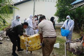 Bea Cukai Langsa musnahkan hewan dan tumbuhan impor ilegal