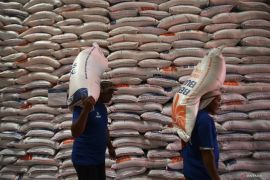 Babel kemarin, perkuat stok beras jelang Ramadhan hingga perkuat tata kelola tambang timah