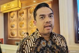 Mining concessions in Minerba law to scale up SMEs: Abdurrahman