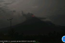 Gunung Lewotobi di Flores Timur kembali erupsi