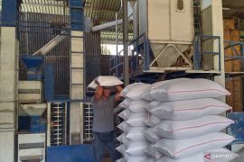 Bank Indonesia tekankan efisiensi rantai distribusi hasil panen di Bali