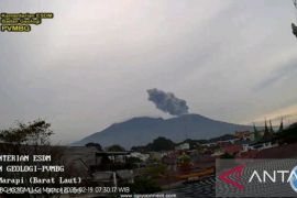 Marapi keluarkan abu vulkanik setinggi 700 meter