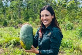 Komisi VII DPR RI dorong lembaga penyiaran promosikan potensi daerah