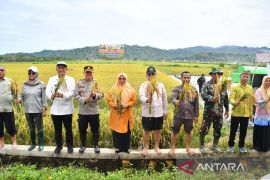 Pemkab Gorontalo Utara imbau warga tidak mengkhawatirkan stok beras