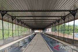 DPD Elang 3 Hambalang:Program ketahanan pangan PT TSM patut diapresiasi