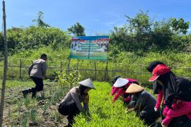 Polda Malut:  Polres-polsek gunakan lahan tidur untuk tanaman pangan