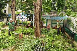 Jakbar gencarkan pembersihan taman cegah prostitusi di ruang terbuka