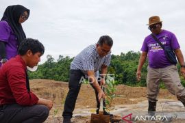 Pj Gubernur Kaltim dan siswa SMK tanam pohon kopi di lahan bekas tambang