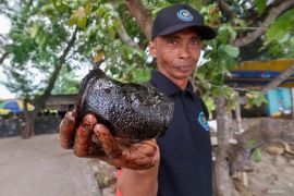 Tumpahan oli di zona konservasi terumbu karang