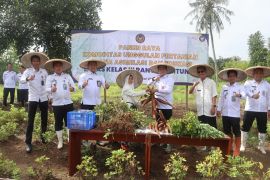Kakanwil Ditjenpas Banten panen raya di SAE Lapas Rangkasbitung
