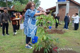 PT TWC bantu 100 pohon buah di Balkondes Borobudur