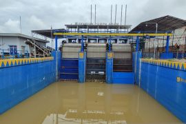 Debit air sungai Batanghari naik akibat intensitas hujan tinggi