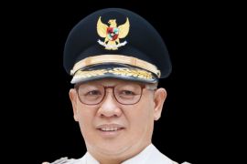 Wabub Bangka Tengah ajak ASN bekerja inovatif