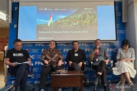 Wamen LH sebut Indonesia dorong suplai kredit karbon dari solusi berbasis alam