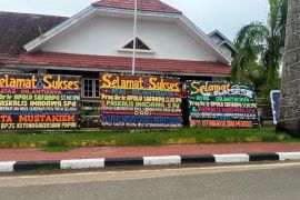 Gubernur Papua Selatan imbau warga beri bibit pohon untuk ucapan