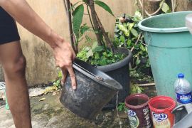 Dinkes Lampung ajak masyarakat gerak serentak berantas sarang nyamuk