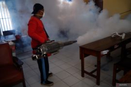 Dinkes Tulungagung catat 198 kasus DBD dengan empat anak meninggal