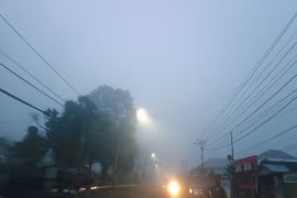 BMKG dan PVMBG kolaborasi siarkan cuaca daerah rawan gerakan tanah