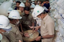 Jaga ketahanan pangan, Bulog Jatim serap hasil panen petani lokal