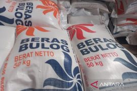 Magelang targetkan serap gabah petani 64.677 ton