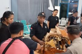 BKSDA Maluku amankan tiga opsetan tanduk rusa di Pelabuhan  Yos Sudarso
